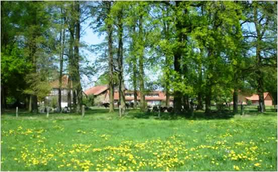 Ferienhaeuser mit herrlichem Blick